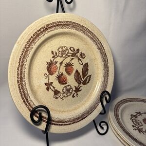Homespun Stonecast Wild Strawberry Dinner Plates by Churchill 10" England 4 ct